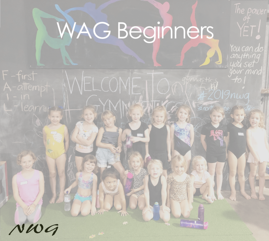 NWG North West Gymnastics Mount Isa WAG Beginners