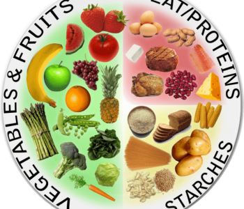 NWG North West Gymnastics Mount Isa the Plate Method Gymnast Diet Nutrition #nwgmountisa #northwestgymnastics #mountisa #mountisagymnaitcs NWG Resources #nwgresources