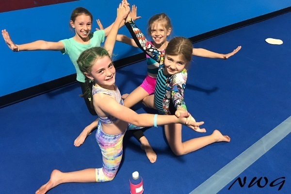 NWG North West Gymnastics Portfolio GFA Gymnastics for All, #nwgmountisa, #mountisagymnastics, #mountisaacro, #mountisaacrobatics, #mountisatumbling, #northwestgymnastics, North West Gymnastics, NWG, #mountisa